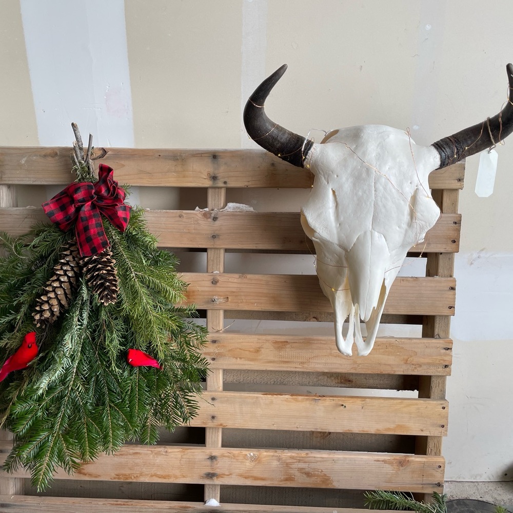 ✨💀 Buffalo skull euro mount - Picture 7 of 8